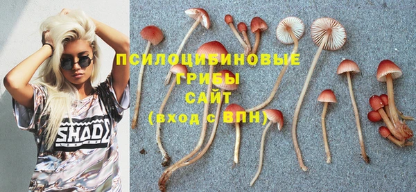 каннабис Михайловка