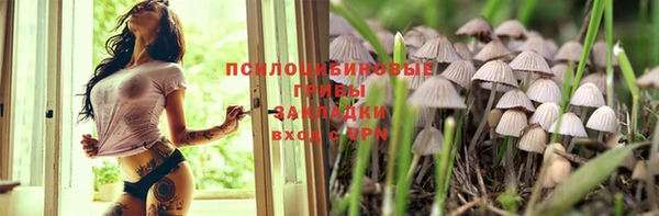 прущие крисы Михайлов