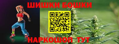 МДПВ Бийск