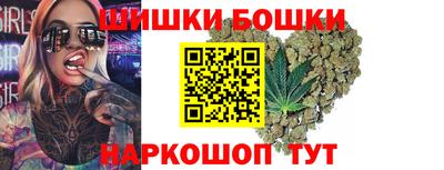 МДПВ Бийск