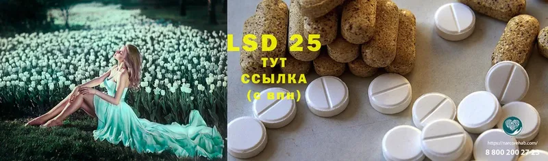 Лсд 25 экстази ecstasy  Добрянка 