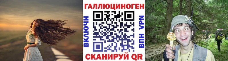 Псилоцибиновые грибы Psilocybine cubensis  Добрянка 
