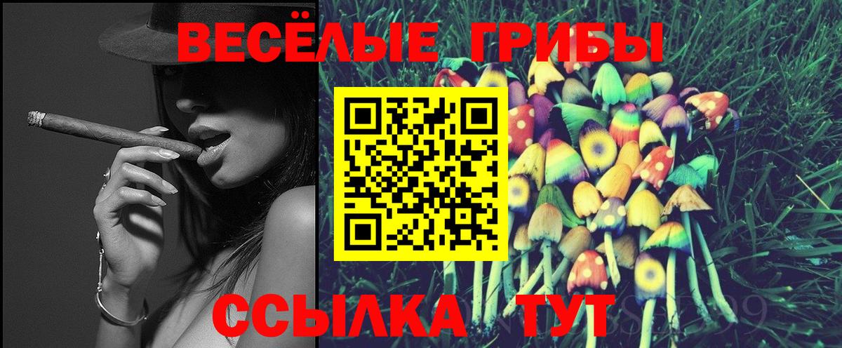 Добрянка  Псилоцибиновые грибы прущие грибы  где найти наркотики  Вход с VPN  Галлюциногенные грибы GOLDEN TEACHER 