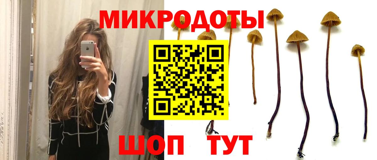 где найти   Добрянка  Псилоцибиновые грибы прущие грибы  Псилоцибиновые грибы MAGIC MUSHROOMS 